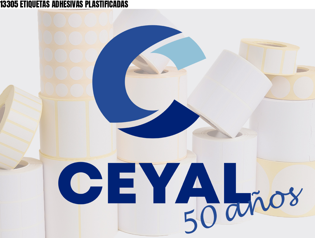 13305 ETIQUETAS ADHESIVAS PLASTIFICADAS