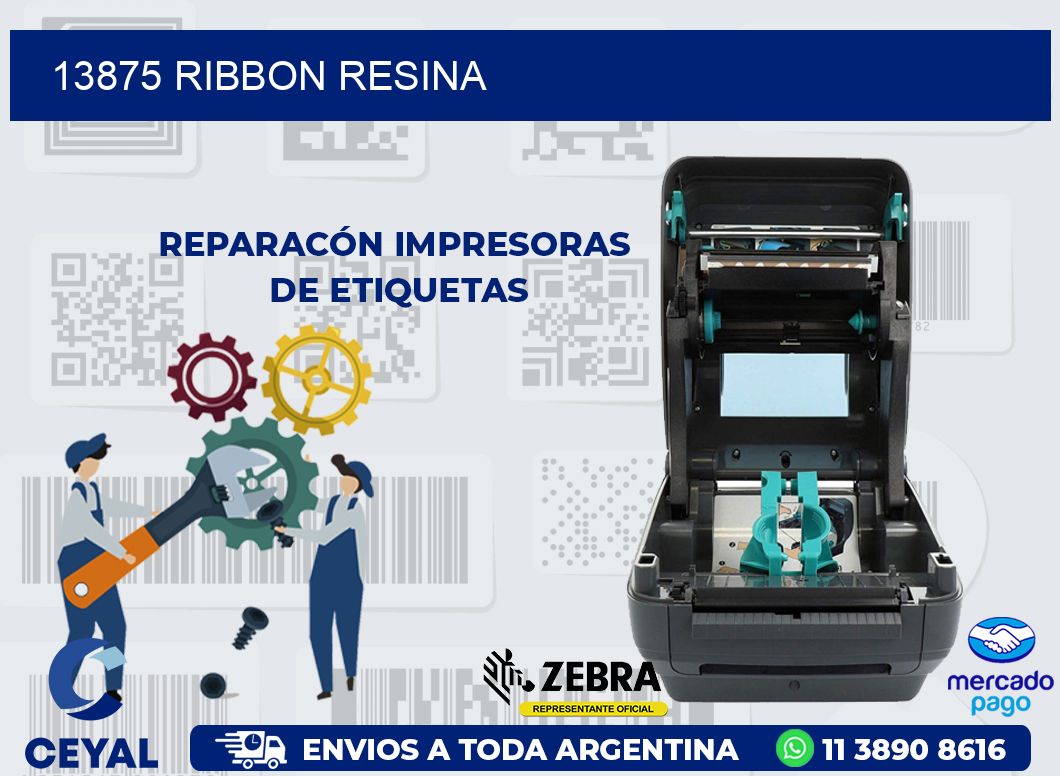 13875 RIBBON RESINA