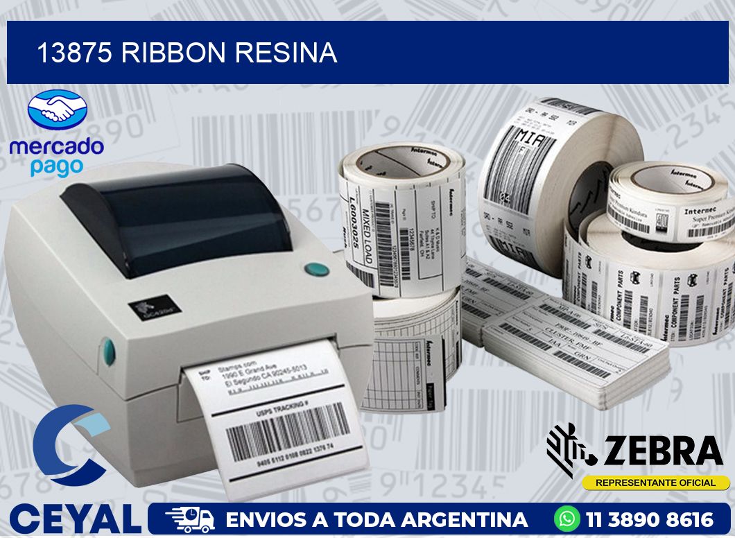 13875 RIBBON RESINA