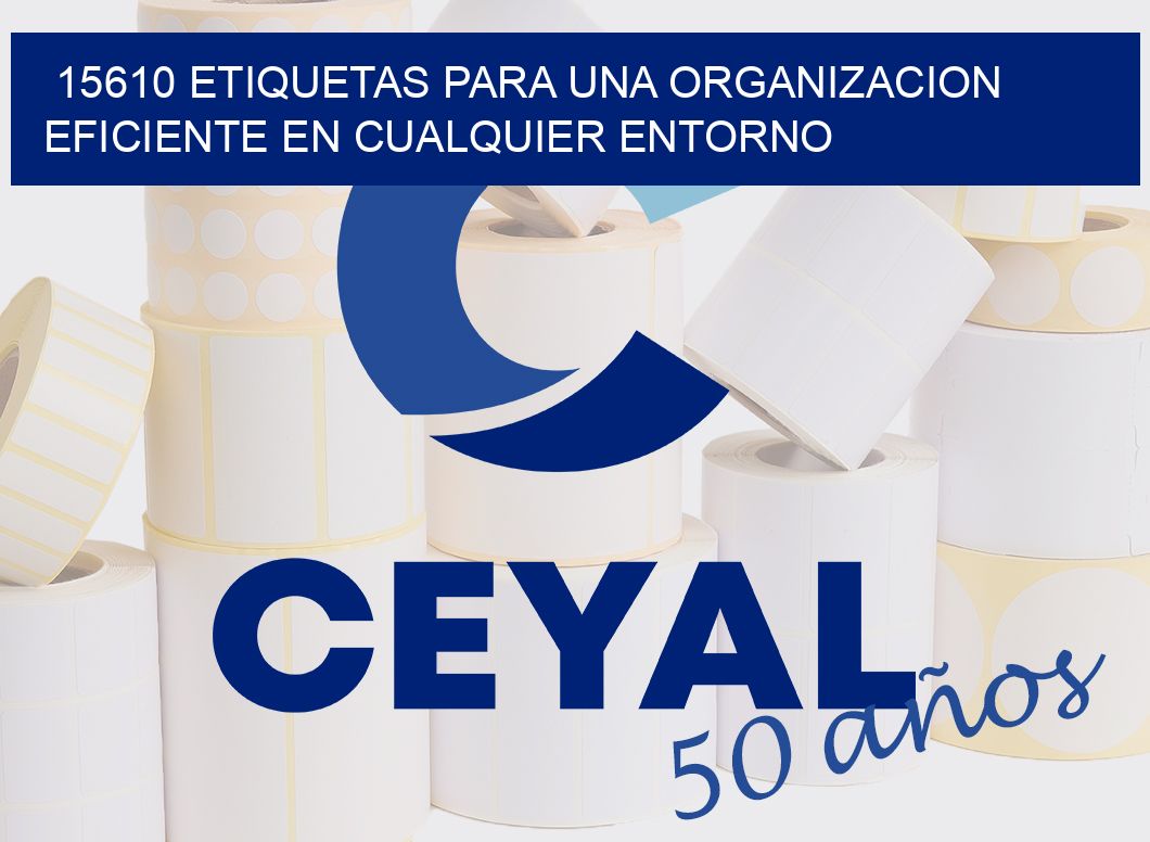15610 ETIQUETAS PARA UNA ORGANIZACION EFICIENTE EN CUALQUIER ENTORNO