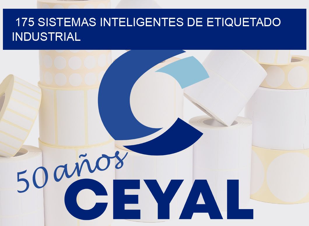 175 SISTEMAS INTELIGENTES DE ETIQUETADO INDUSTRIAL