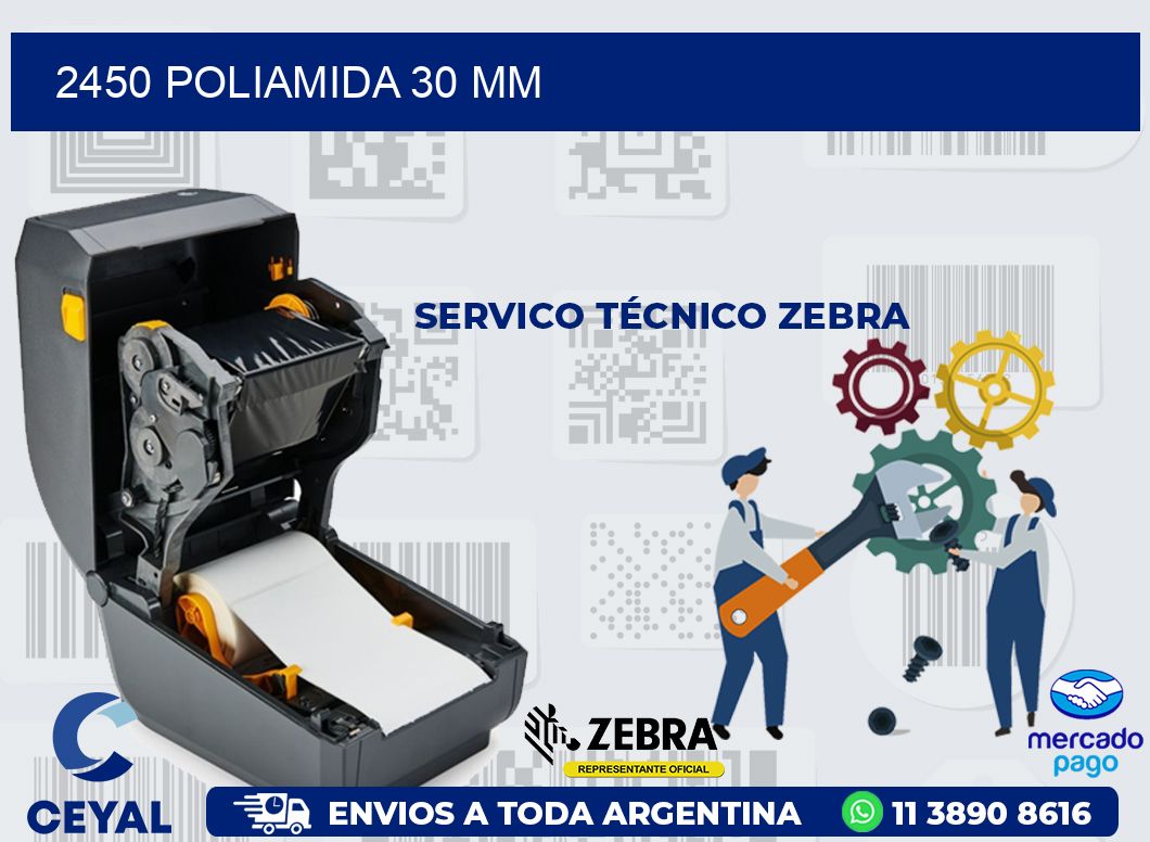 2450 POLIAMIDA 30 MM