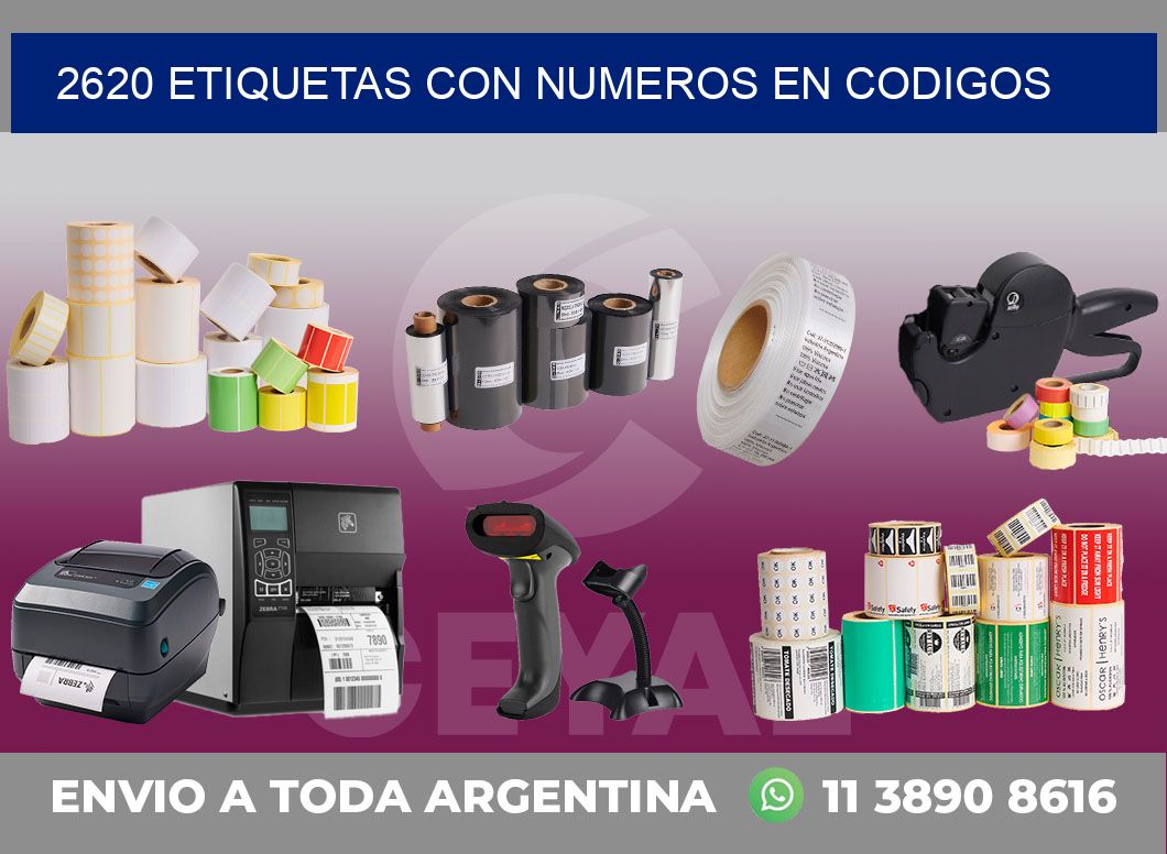 2620 ETIQUETAS CON NUMEROS EN CODIGOS