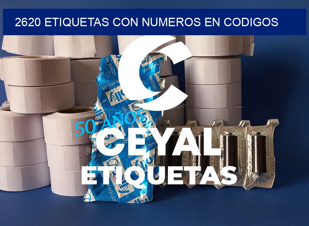 2620 ETIQUETAS CON NUMEROS EN CODIGOS