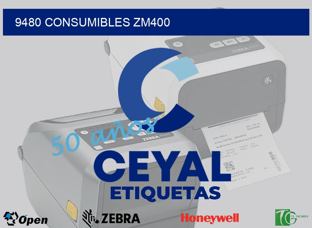 9480 CONSUMIBLES ZM400