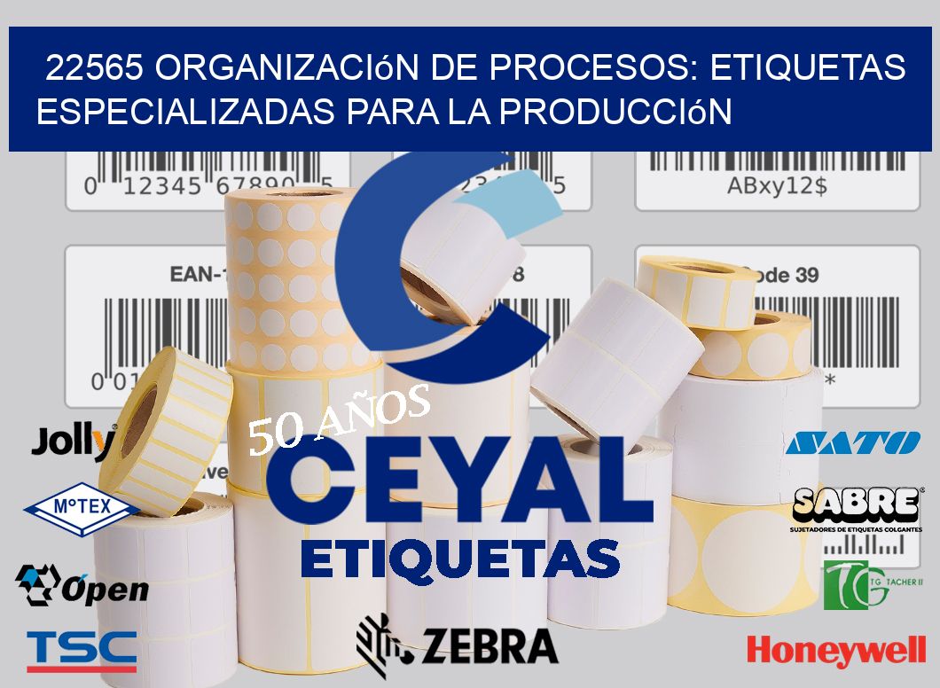 22565 Organización de Procesos: Etiquetas Especializadas para la Producción