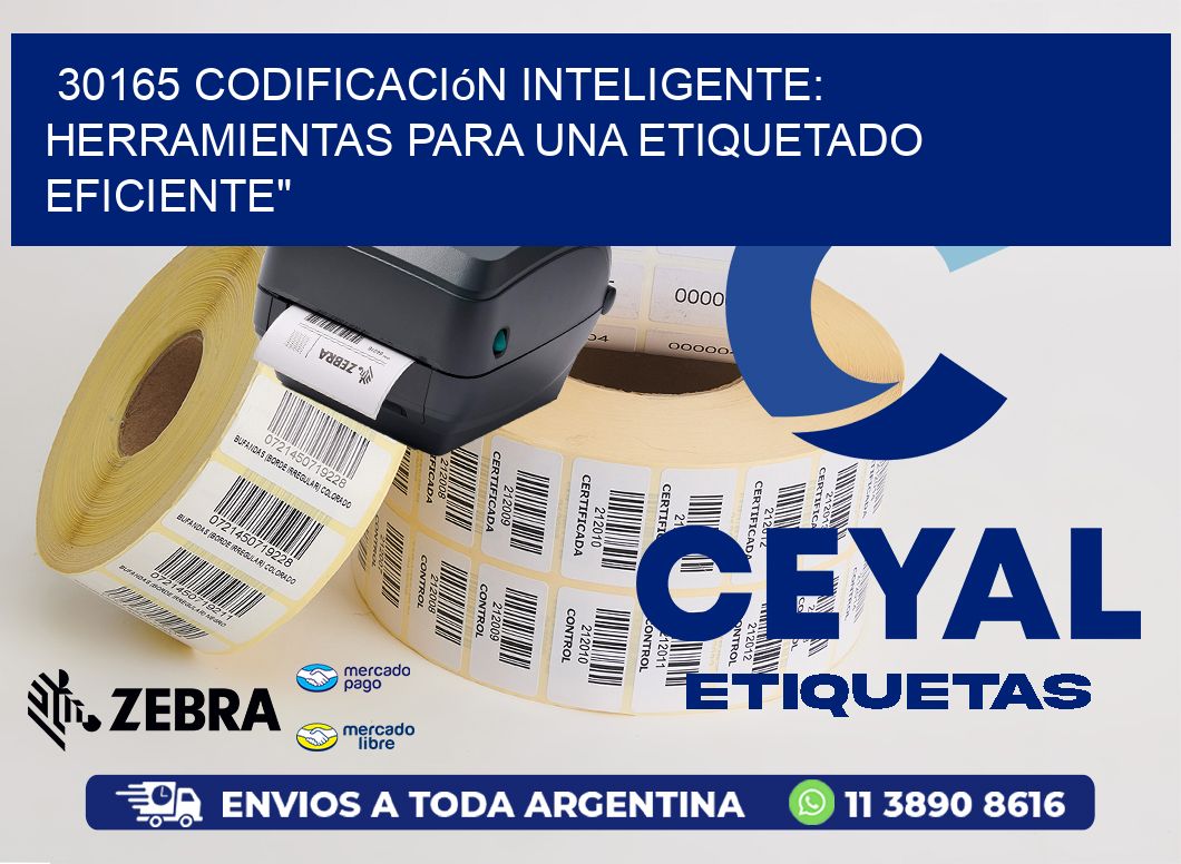 30165 Codificación Inteligente: Herramientas para una Etiquetado Eficiente