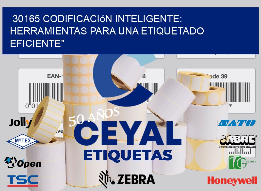 30165 Codificación Inteligente: Herramientas para una Etiquetado Eficiente»