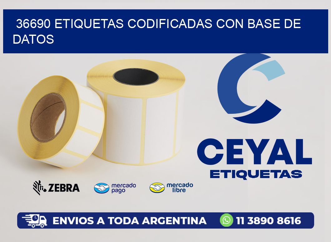 36690 etiquetas codificadas con base de datos