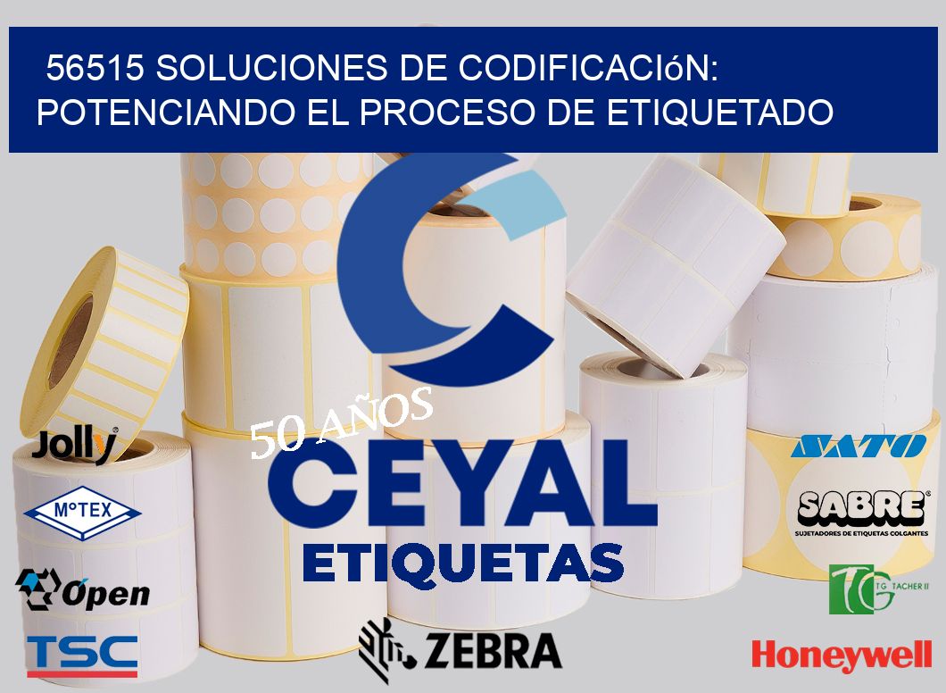 56515 Soluciones de Codificación: Potenciando el Proceso de Etiquetado