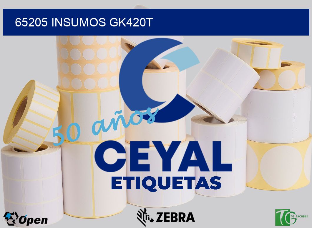 65205 INSUMOS GK420T