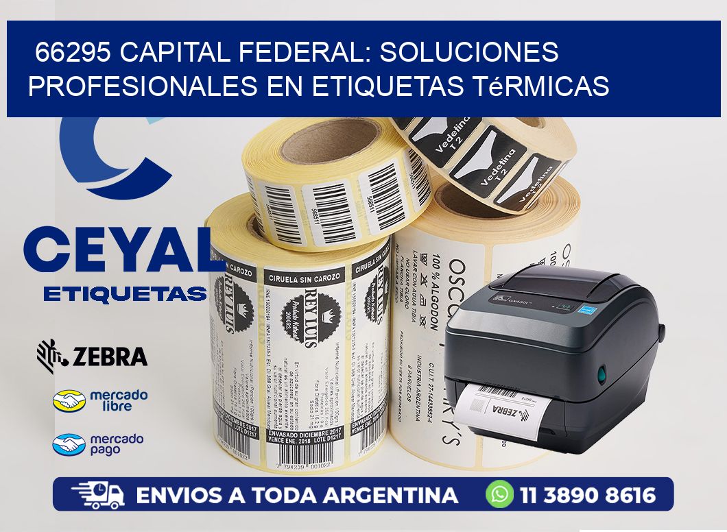 66295 Capital Federal: Soluciones Profesionales en Etiquetas Térmicas