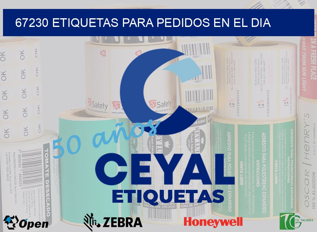 67230 ETIQUETAS PARA PEDIDOS EN EL DIA