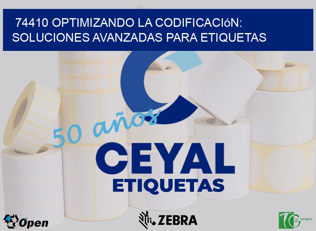 74410 Optimizando la Codificación: Soluciones Avanzadas para Etiquetas