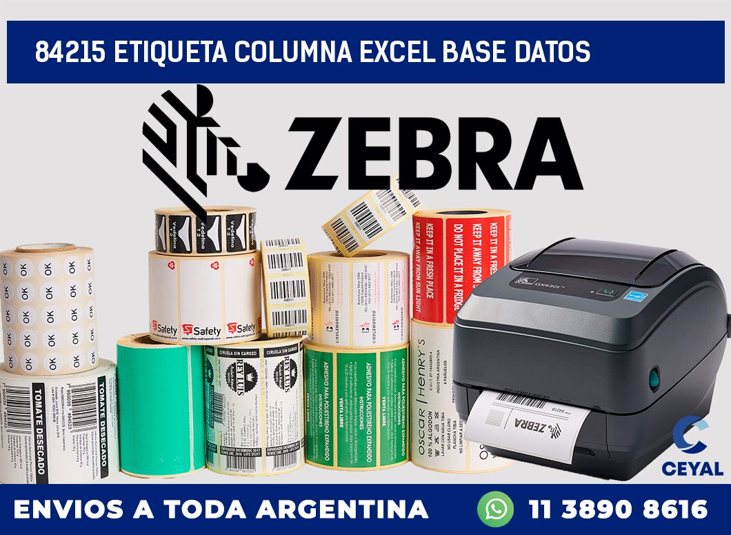 84215 etiqueta columna excel base datos