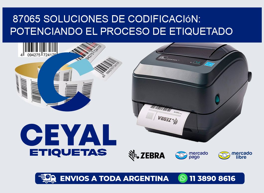 87065 Soluciones de Codificación: Potenciando el Proceso de Etiquetado