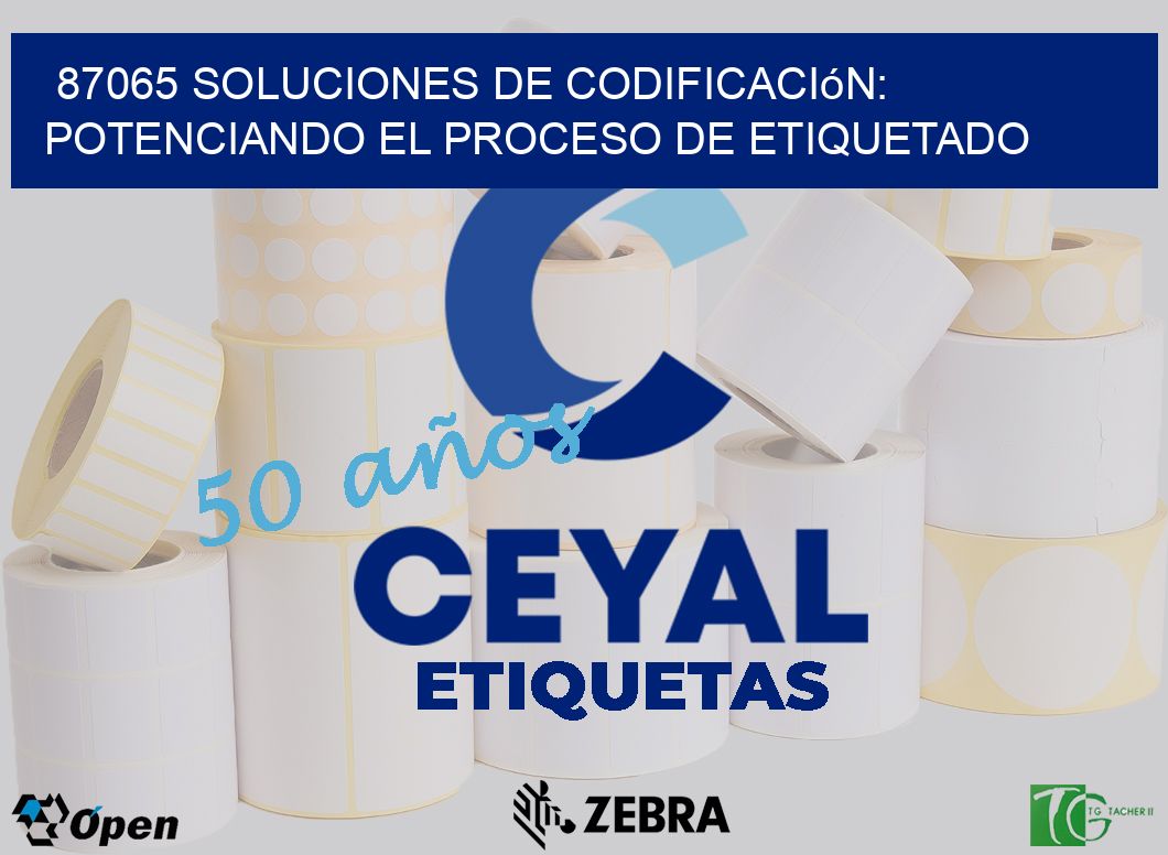 87065 Soluciones de Codificación: Potenciando el Proceso de Etiquetado
