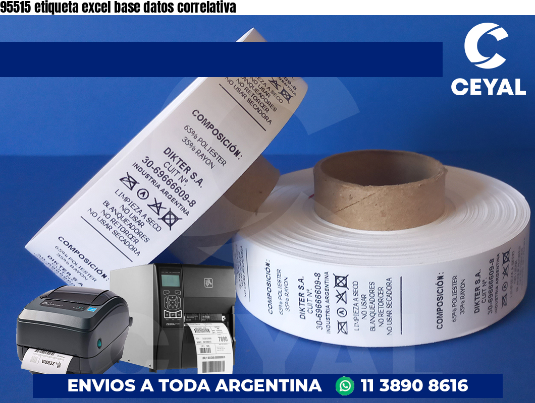 95515 etiqueta excel base datos correlativa