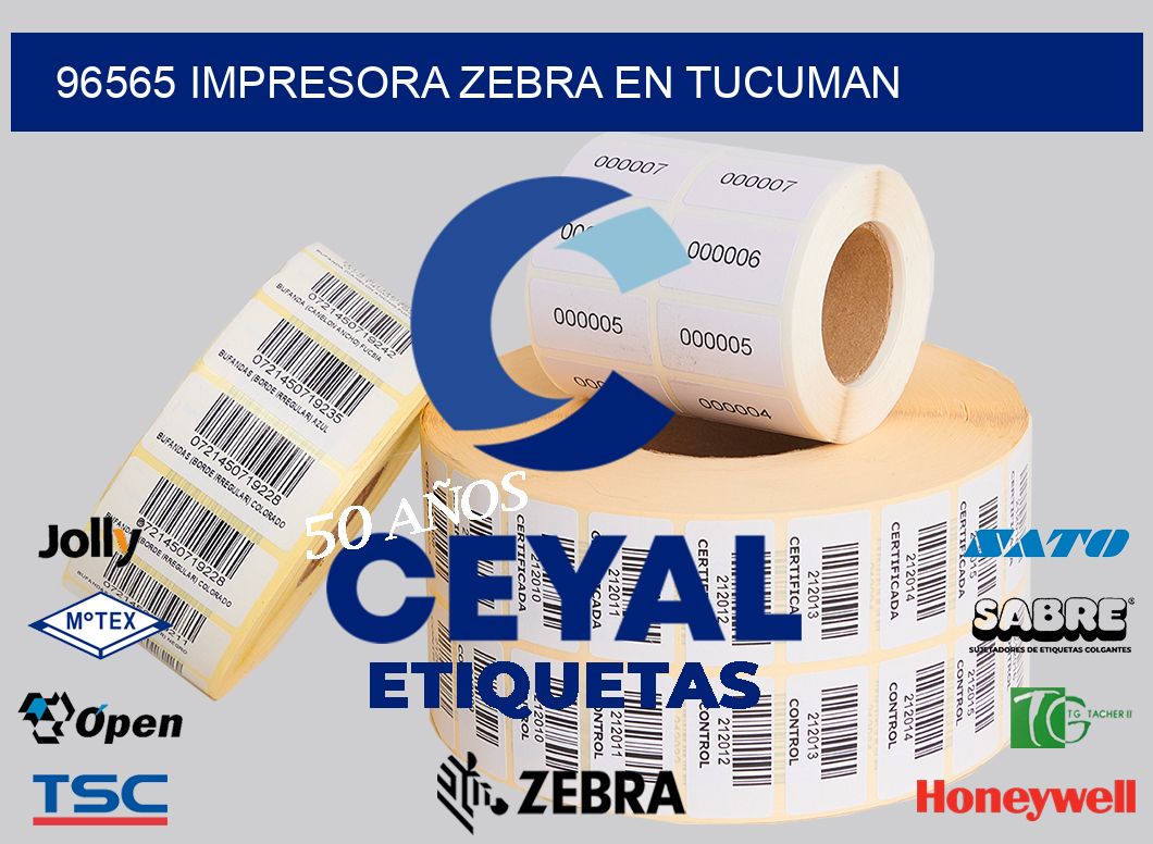 96565 IMPRESORA ZEBRA EN TUCUMAN