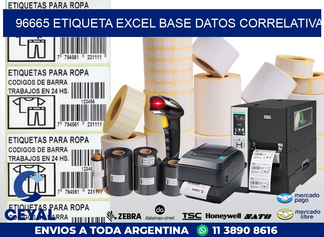 96665 etiqueta excel base datos correlativa
