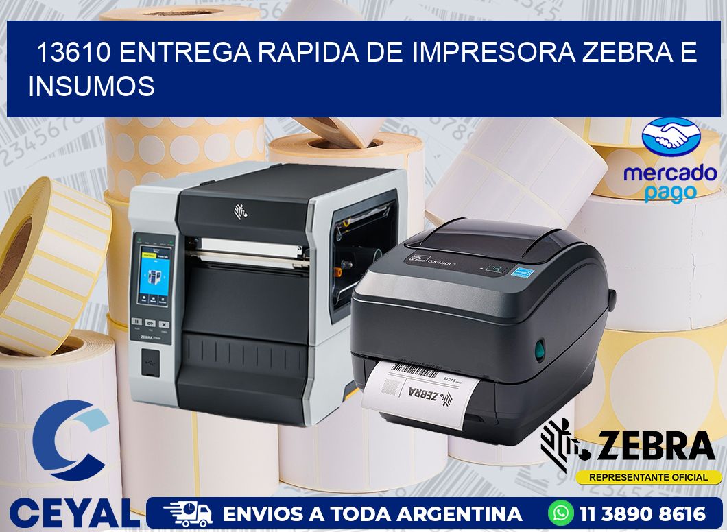 13610 ENTREGA RAPIDA DE IMPRESORA ZEBRA E INSUMOS