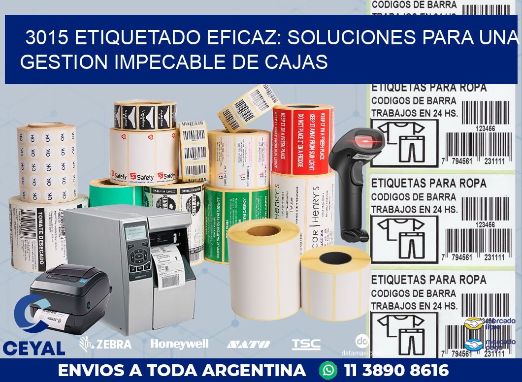 3015 ETIQUETADO EFICAZ: SOLUCIONES PARA UNA GESTION IMPECABLE DE CAJAS