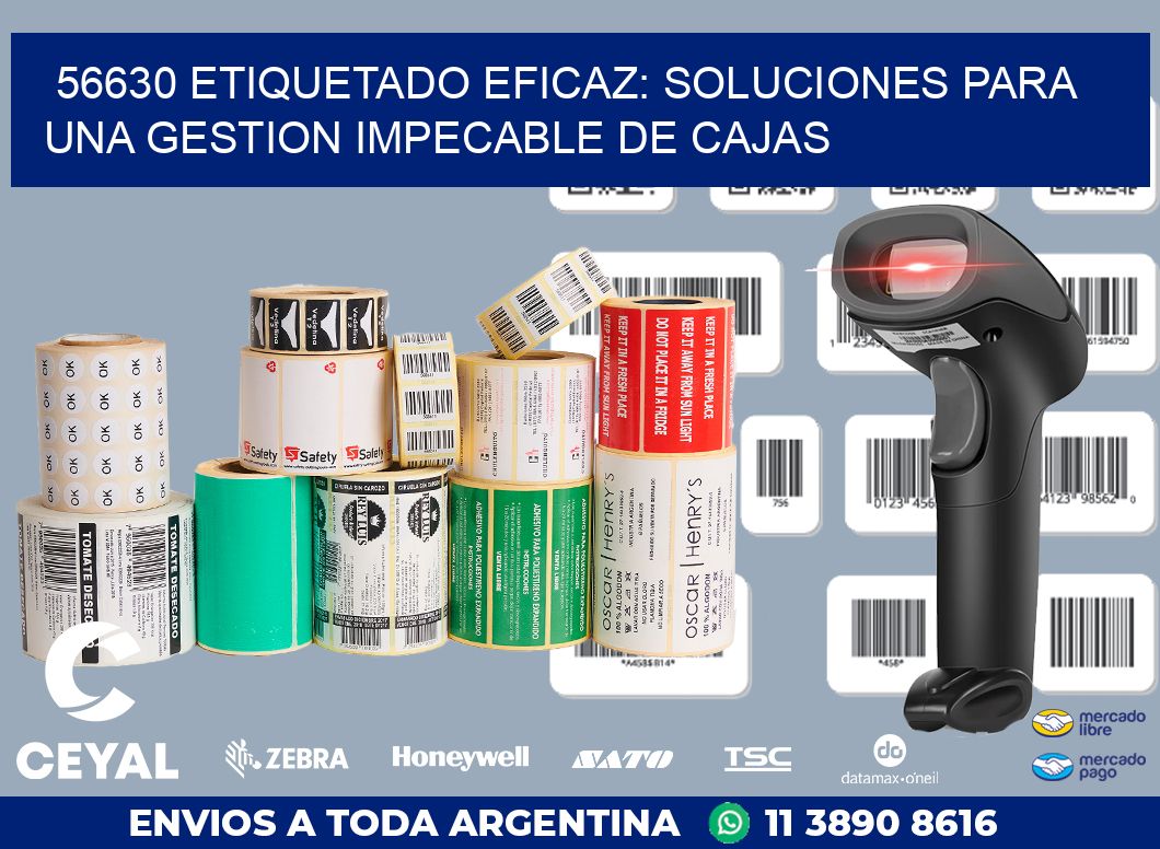 56630 ETIQUETADO EFICAZ: SOLUCIONES PARA UNA GESTION IMPECABLE DE CAJAS