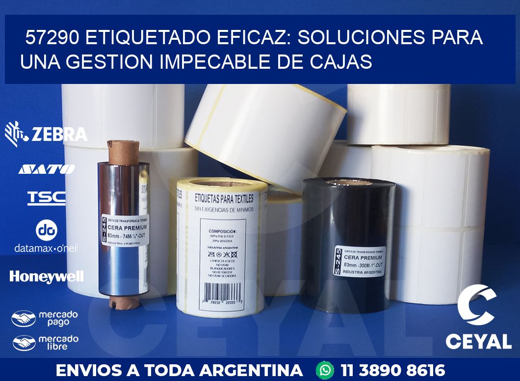 57290 ETIQUETADO EFICAZ: SOLUCIONES PARA UNA GESTION IMPECABLE DE CAJAS