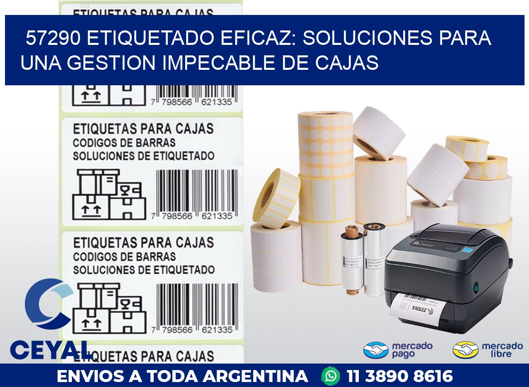 57290 ETIQUETADO EFICAZ: SOLUCIONES PARA UNA GESTION IMPECABLE DE CAJAS