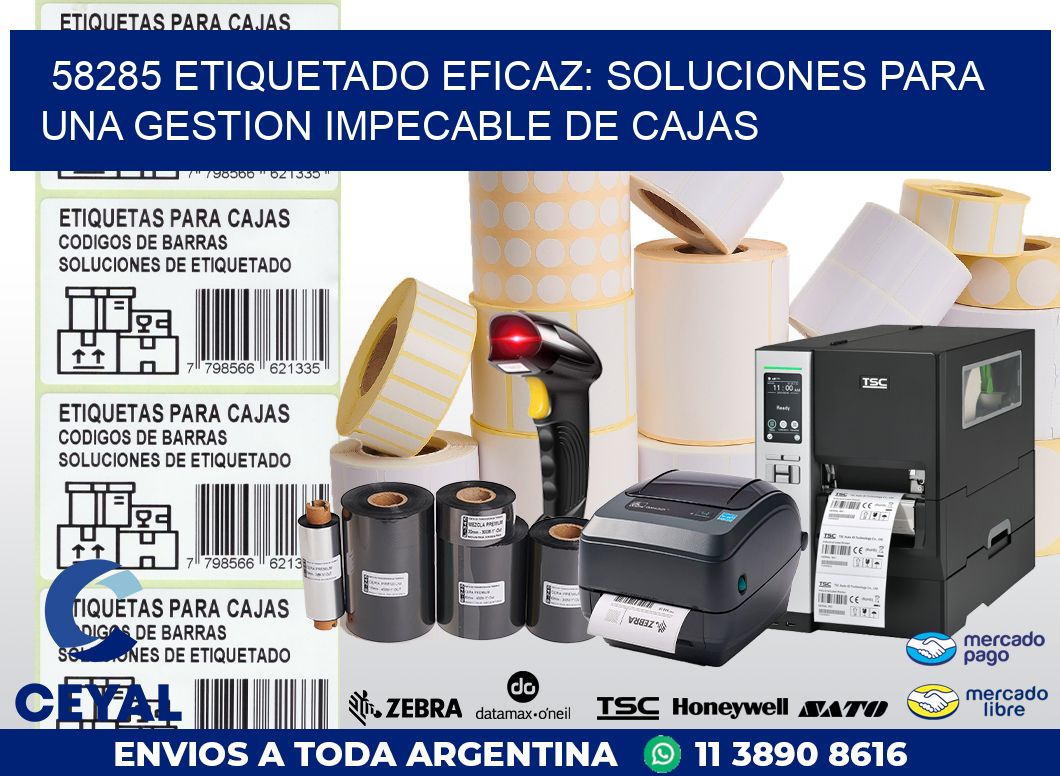 58285 ETIQUETADO EFICAZ: SOLUCIONES PARA UNA GESTION IMPECABLE DE CAJAS