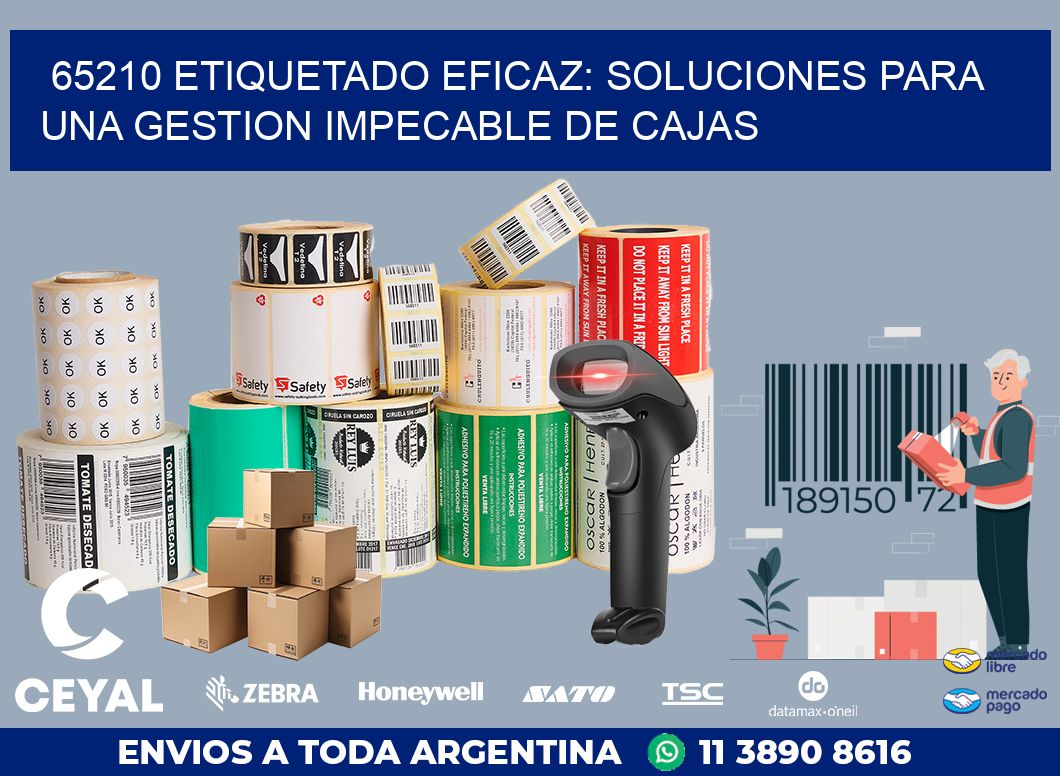 65210 ETIQUETADO EFICAZ: SOLUCIONES PARA UNA GESTION IMPECABLE DE CAJAS