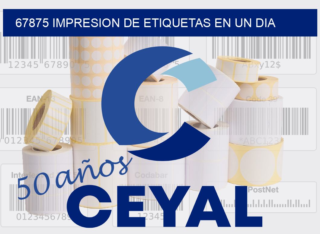 67875 IMPRESION DE ETIQUETAS EN UN DIA