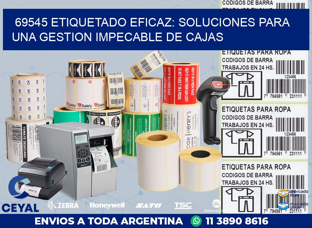 69545 ETIQUETADO EFICAZ: SOLUCIONES PARA UNA GESTION IMPECABLE DE CAJAS