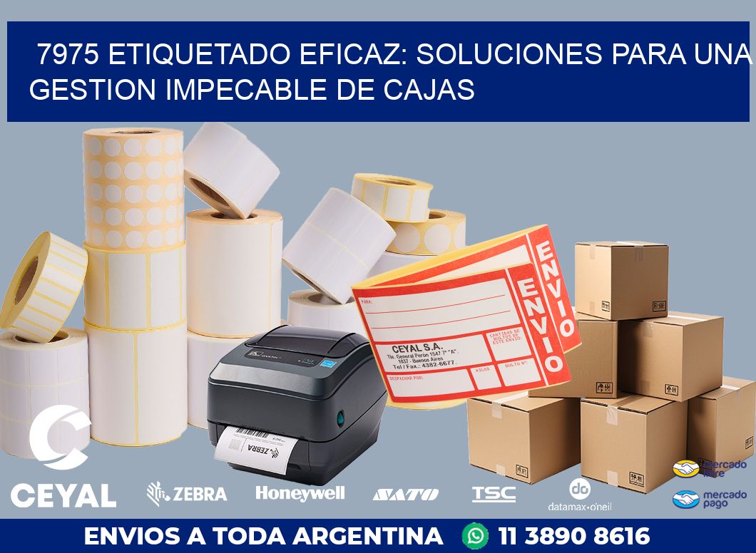 7975 ETIQUETADO EFICAZ: SOLUCIONES PARA UNA GESTION IMPECABLE DE CAJAS