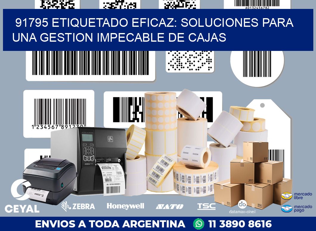91795 ETIQUETADO EFICAZ: SOLUCIONES PARA UNA GESTION IMPECABLE DE CAJAS