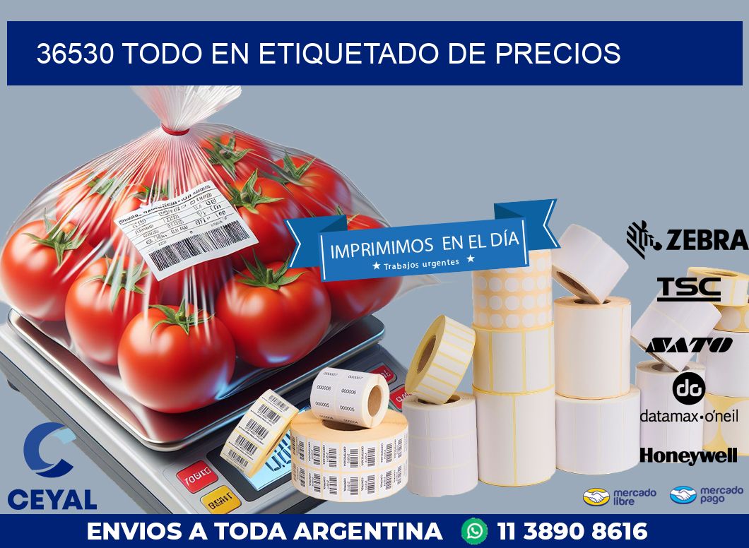 36530 TODO EN ETIQUETADO DE PRECIOS