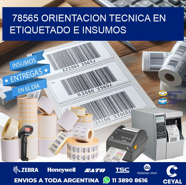 78565 ORIENTACION TECNICA EN ETIQUETADO E INSUMOS