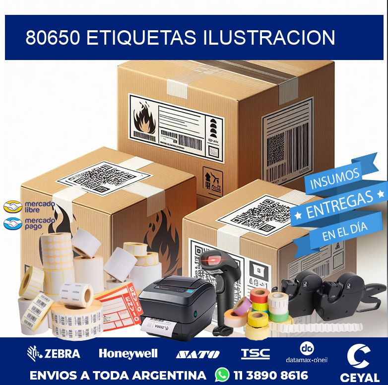 80650 ETIQUETAS ILUSTRACION