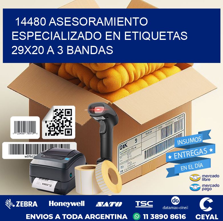 14480 ASESORAMIENTO ESPECIALIZADO EN ETIQUETAS 29X20 A 3 BANDAS