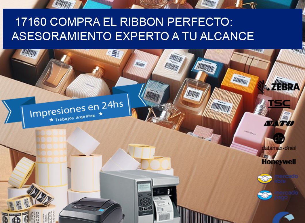 17160 COMPRA EL RIBBON PERFECTO: ASESORAMIENTO EXPERTO A TU ALCANCE