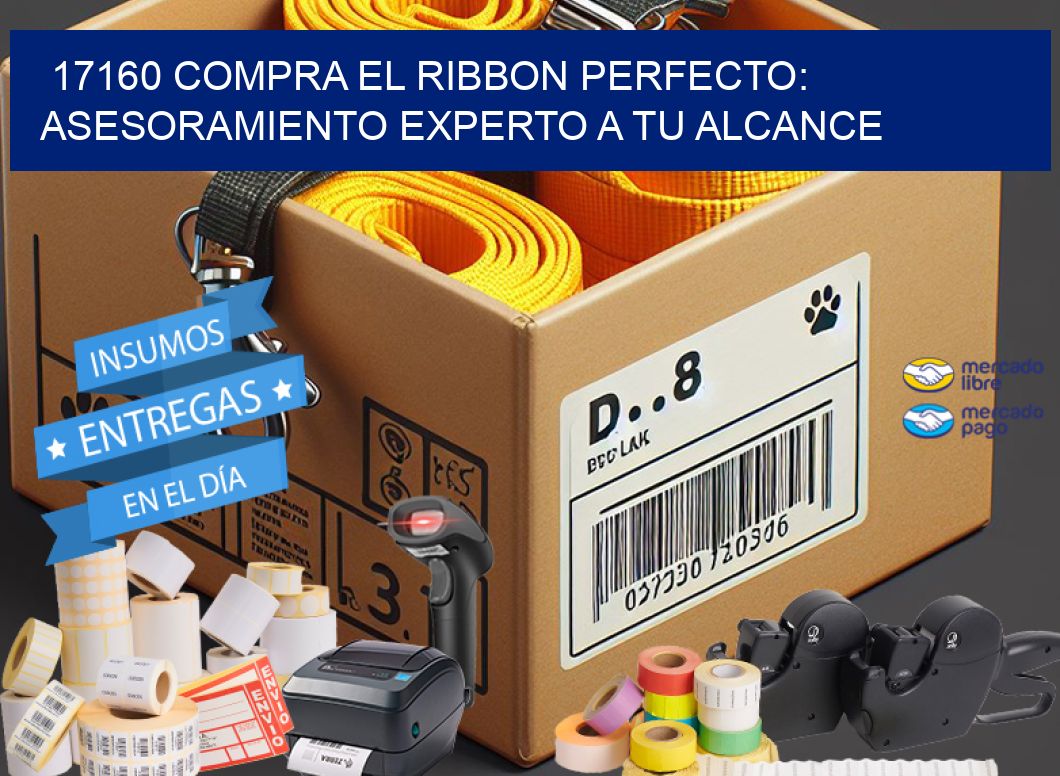 17160 COMPRA EL RIBBON PERFECTO: ASESORAMIENTO EXPERTO A TU ALCANCE