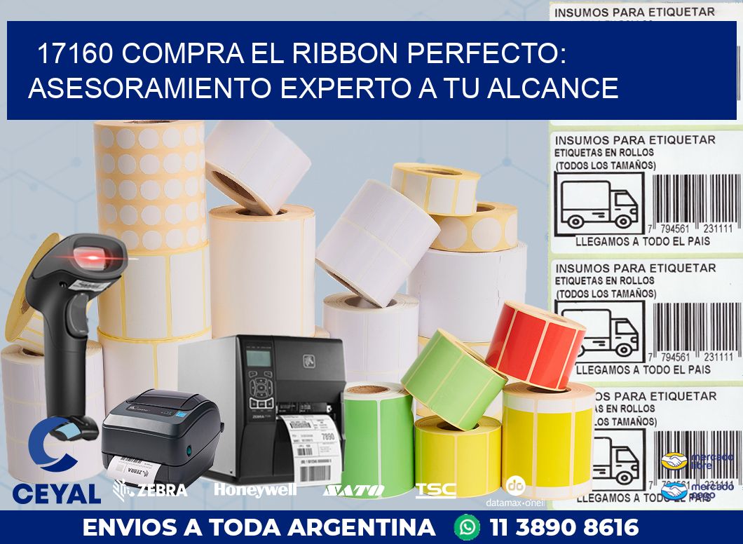 17160 COMPRA EL RIBBON PERFECTO: ASESORAMIENTO EXPERTO A TU ALCANCE
