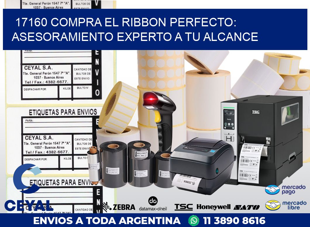 17160 COMPRA EL RIBBON PERFECTO: ASESORAMIENTO EXPERTO A TU ALCANCE