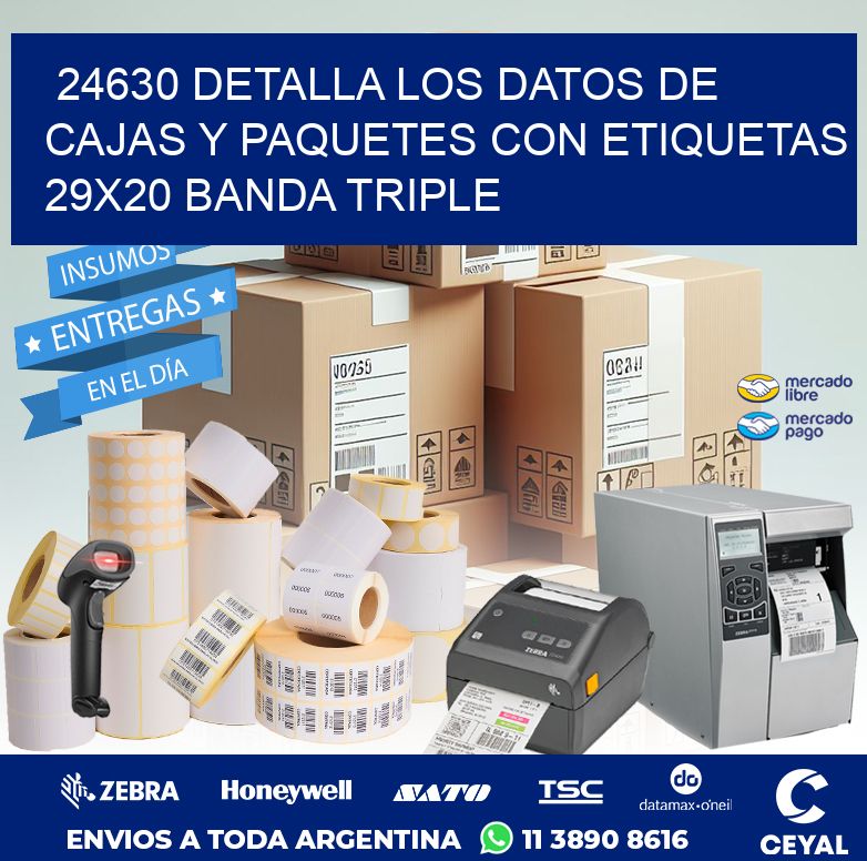 24630 DETALLA LOS DATOS DE CAJAS Y PAQUETES CON ETIQUETAS 29X20 BANDA TRIPLE
