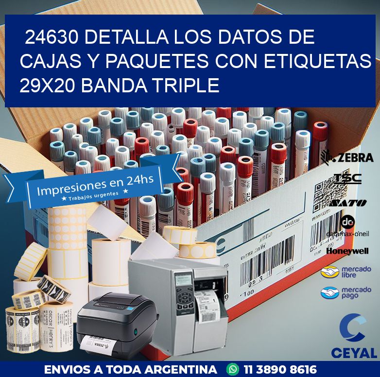 24630 DETALLA LOS DATOS DE CAJAS Y PAQUETES CON ETIQUETAS 29X20 BANDA TRIPLE