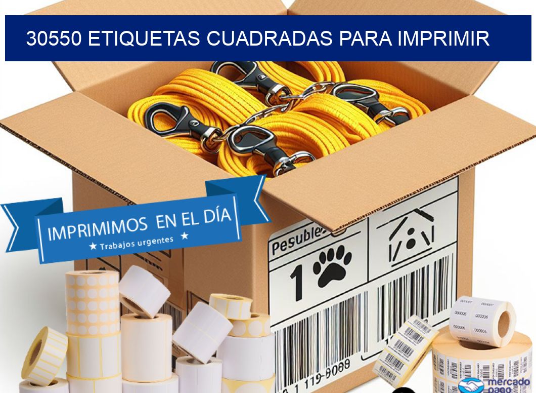 30550 Etiquetas cuadradas para imprimir