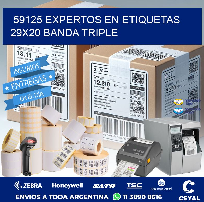 59125 EXPERTOS EN ETIQUETAS 29X20 BANDA TRIPLE
