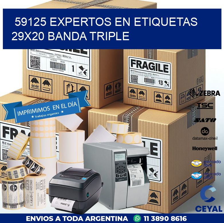59125 EXPERTOS EN ETIQUETAS 29X20 BANDA TRIPLE
