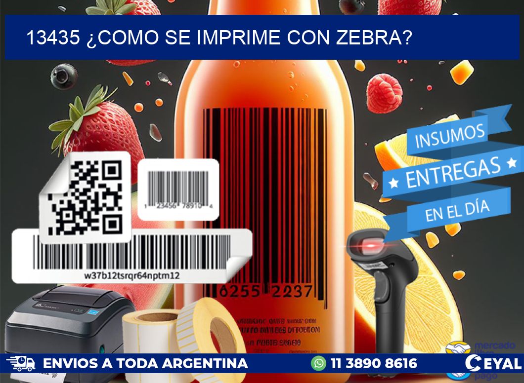 13435 ¿COMO SE IMPRIME CON ZEBRA?