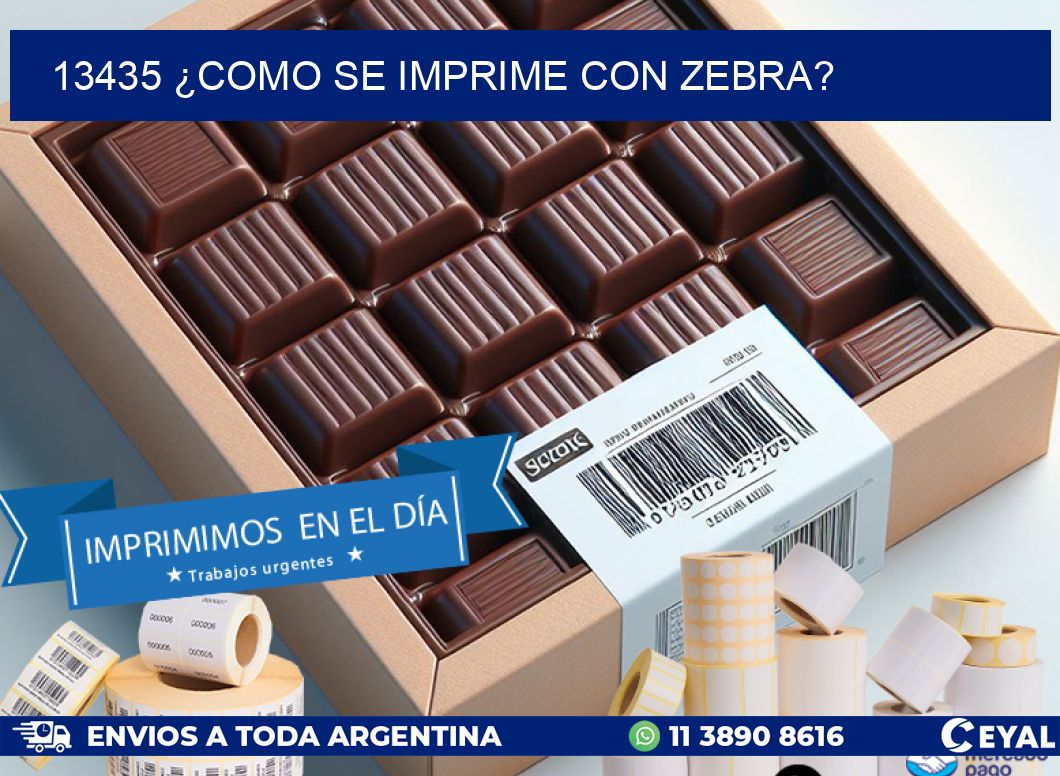 13435 ¿COMO SE IMPRIME CON ZEBRA?